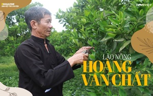 Lão nông người Thái ở Sơn La từng vào tù vì cây cà phê, liều trồng cam mà thành tỷ phú