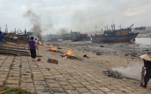 Thanh Hóa: Huy động hàng trăm người thu gom rác thải dọc bãi biển Ngư Lộc sau phản ánh của Báo Dân Việt