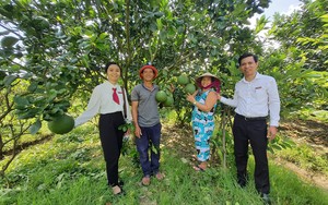 Được vay vốn, nông dân Quảng Nam vững tin làm du lịch sinh thái, lãi hơn 300 triệu đồng/năm