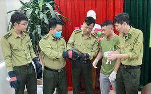 Ninh Bình: Tê tê Java, khỉ đuôi lợn quý hiếm có trong Sách đỏ Việt Nam được Vườn quốc gia Cúc Phương cứu hộ 