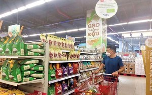 Thái Lan muốn mua gạo Việt Nam