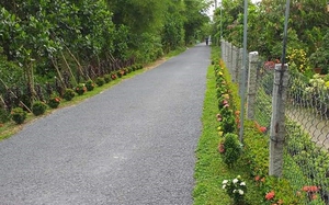 Con đường hoa nông thôn mới, đường trồng cây cảnh đẹp như phim, mê &quot;phát hờn&quot; ở huyện Cao Lãnh của Đồng Tháp
