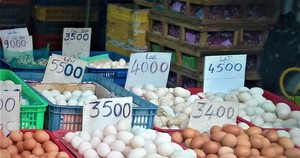Trứng gà, vịt bình ổn chính thức tăng thêm 2.000 đồng/hộp