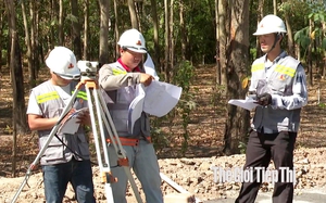 TP.HCM ban hành đơn giá bồi thường cây trồng khi thu hồi đất  - Ảnh 3.