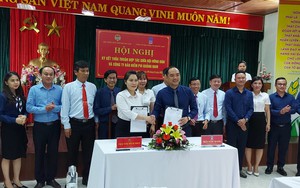 Hội Nông dân Quảng Nam hợp tác Bảo hiểm PVI đưa các sản phẩm bảo hiểm đến với nông dân