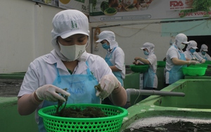 Khánh Hòa: Tham gia nhiều sản phẩm công nghiệp nông thôn tiêu biểu