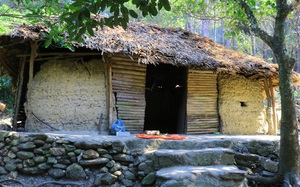 Vùng đất này ở Vĩnh Phúc có những căn nhà trình tường cuối cùng đẹp như cổ tích trong rừng Tam Đảo