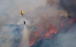 Nắng nóng, hơn 1.000 ha rừng tại Tây Ban Nha bị thiêu rụi vì cháy rừng