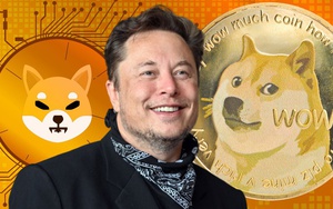Tỷ phú Elon Musk bị đòi bồi thường 258 tỷ USD vì thao túng Dogecoin