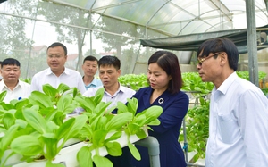Sóc Sơn thu hút đầu tư vào nông nghiệp, nâng tầm nông thôn mới