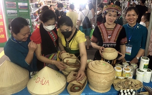 Bố Trạch góp 15 sản phẩm tại Festival trái cây và OCOP Việt Nam 2022