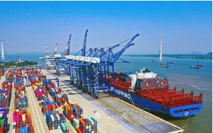 Container Việt Nam (VSC): Phát hành hơn 11 triệu cổ phiếu để trả cổ tức 2021
