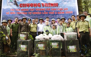 Lào Cai: Tái thả động vật hoang dã về tự nhiên sau cứu hộ