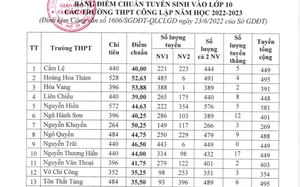 Tra cứu điểm chuẩn vào lớp 10 năm 2022: Đà Nẵng và tỉnh thành nào đã công bố?