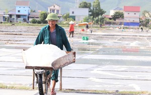 Quảng Bình: Nơi duy nhất diêm dân vẫn cần mẫn với từng hạt muối mặc cái nắng nóng 40 độ C 