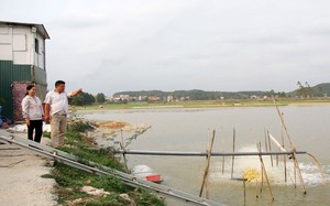 Làng biệt thự toàn nhà giàu ở Bắc Giang, dân chỉ làm 2 nghề, cai thầu xây dựng hoặc đi buôn cá
