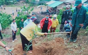 Huyện Di Linh của Lâm Đồng có 17.000 hộ nông dân đăng ký danh hiệu NDSX KD giỏi, có hộ thu nhập 1 tỷ/năm