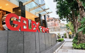 Tập đoàn Gelex (GEX) bất ngờ lùi ngày chi trả cổ tức năm 2021