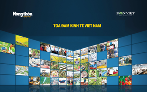 Chương trình "Tọa đàm kinh tế cuối năm": Dấu ấn riêng biệt của Dân Việt