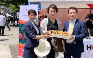 Những trái vải tươi lần đầu xuất hiện tại &quot;Lễ hội Việt Nam&quot; tại Tokyo, Nhật Bản