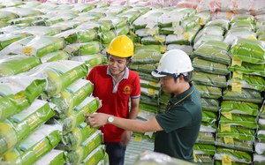 Lộc Trời (LTG): Tháng 6/2022 gần 500 tấn gạo thương hiệu "Cơm ViệtNam Rice" xuất sang châu Âu 