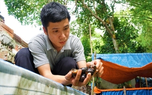 Bỏ phố về quê nuôi con đặc sản đồng quê, chàng kỹ sư Quảng Nam ban đầu bị chê, sau nhiều người lại mê tít