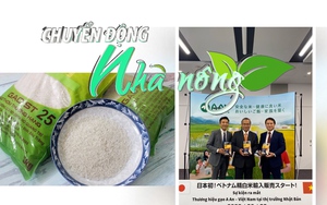 Chuyển động Nhà nông 1/7: Gạo Việt Nam lần đầu tiên được bày bán trên thị trường Nhật Bản