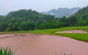 Sơn La: Phòng tránh thiên tai trong sản xuất nông nghiệp