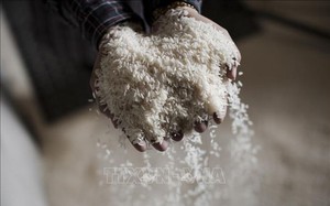 Nhu cầu tăng mạnh đẩy giá gạo Ấn Độ lên cao