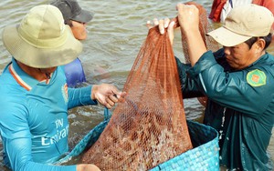 Mỹ, Trung Quốc, Nhật Bản tăng tốc mua nhiều loại thủy sản, Việt Nam thu ngay 6 tỷ USD