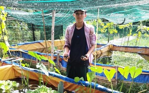Anh nông dân trẻ măng ở Phú Yên phát tài nhờ nuôi ốc nhồi trong bể lót bạt