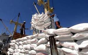 Gạo, nấm, đường của Việt Nam xuất khẩu vào châu Âu được ưu đãi thuế về 0%