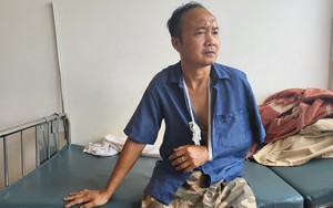 Vụ phá rừng, đánh người báo tin ở Lâm Đồng: Coi thường kỷ cương phép nước, thách thức pháp luật