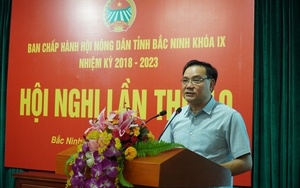 Hội Nông dân Bắc Ninh hướng về cơ sở, 83.155 hộ đăng ký đạt danh hiệu sản xuất kinh doanh giỏi