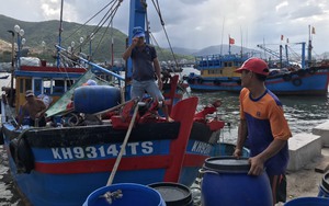 Khánh Hòa lên tiếng vụ 19 tàu cá thuộc diện &quot;mất tích&quot;