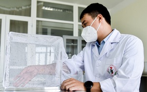 Lạ lùng nghề ngồi im cho muỗi đốt, hàng trăm con bâu đen kịt tay ở Hà Nội