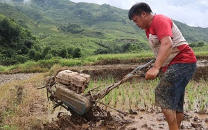 Lai Châu: Đưa máy móc vào sản xuất nông nghiệp, người dân Phong Thổ từng bước thoát nghèo