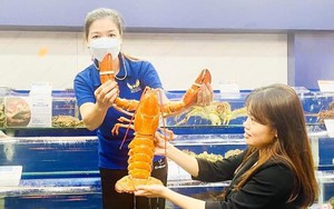 Con tôm hùm vàng cam quý hiếm của Canada được một công ty trao tặng Viện Hải dương học Nha Trang 