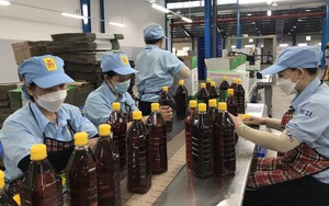 Khánh Hòa: 6 tháng kim ngạch xuất nhập khẩu đạt hơn 2,1 tỷ USD