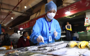 Trung Quốc xóa bỏ một chính sách liên quan đến thực phẩm nhập khẩu, cơ hội cho thủy sản Việt Nam 