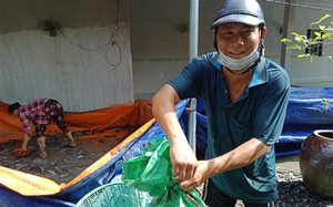 Nuôi cá tra bao năm không khá, mới chuyển sang nuôi cá trê trắng anh nông dân Hậu Giang lại đổi đời