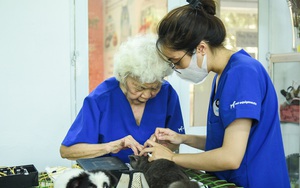 Phòng châm cứu chó, mèo miễn phí của cụ bà 90 tuổi