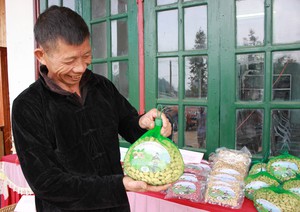 Đi chợ phiên ở Lào Cai, ai cũng thích mua những túi lạc đỏ 10 củ to mẩy cả 10