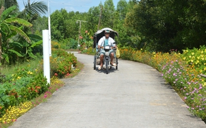 Con đường hoa nông thôn mới đẹp mê li, sạch tinh tươm ở Cà Mau