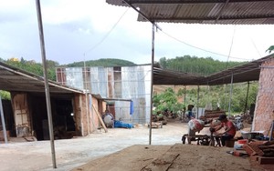 Công an huyện Sa Thầy (Kon Tum) lý giải về việc xử phạt người đàn ông trục vớt gỗ lạ dưới lòng đất