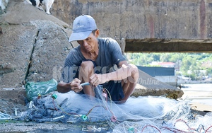 Bắt loài cá gỏi ở Hòn Sơn của Kiên Giang không cần nhiều vốn mà kiếm vẫn ra tiền