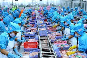Vĩnh Hoàn (VHC) báo lãi từ cá tra tăng kỷ lục nhưng lỗ hàng chục tỷ vì mua cổ phiếu bất động sản