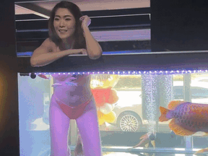 Thái Lan dùng &quot;chiêu độc&quot; thuê các cô gái mặc bikini sexy để hút khách hàng