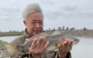 Nuôi hàng tấn cá Hồng Mỹ, nông dân Thanh Hóa bán 90.000-100.000 đồng/kg