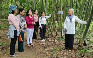 Làng trồng tre Việt Nam giữa lòng một thị xã của tỉnh Bình Dương